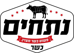 נתחים
